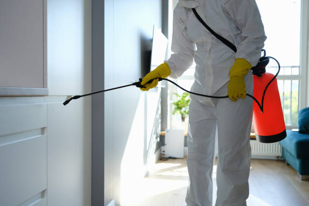Best Mold Testing and Inspection Services in Cupertino, CA