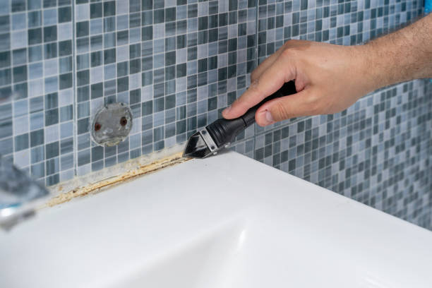 Best Bathroom Mold Remediation in Cupertino, CA